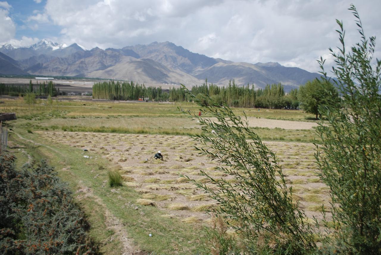 Ratna Hotel Ladakh Leh Extérieur photo